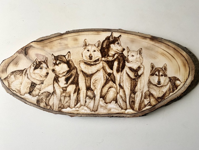 ���� ����� 53 ��