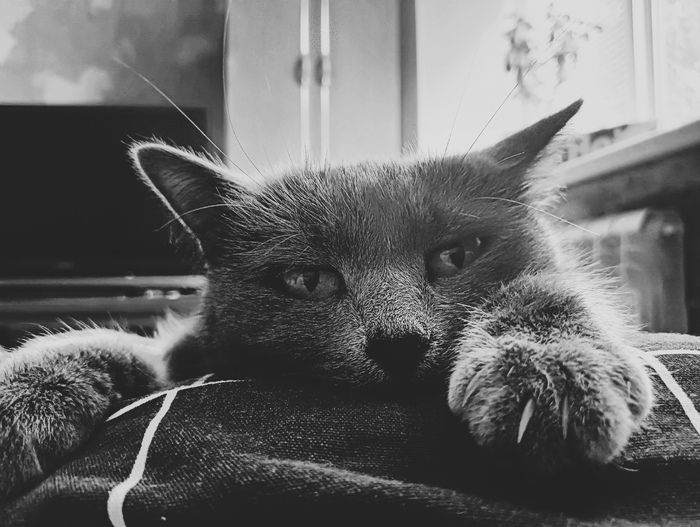 ����� �� ���� ������!�