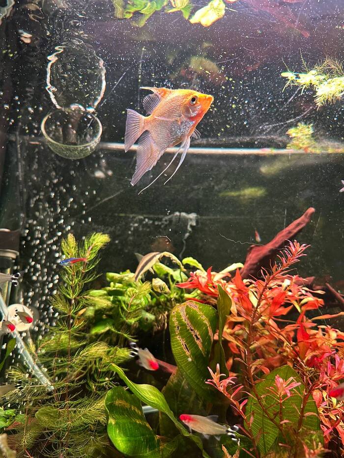 Как мы начали