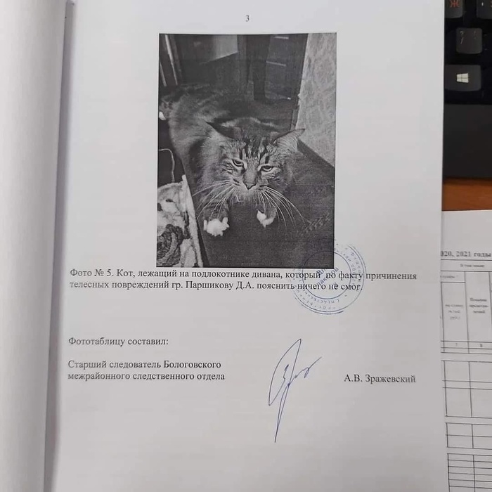     , , , ,  , 