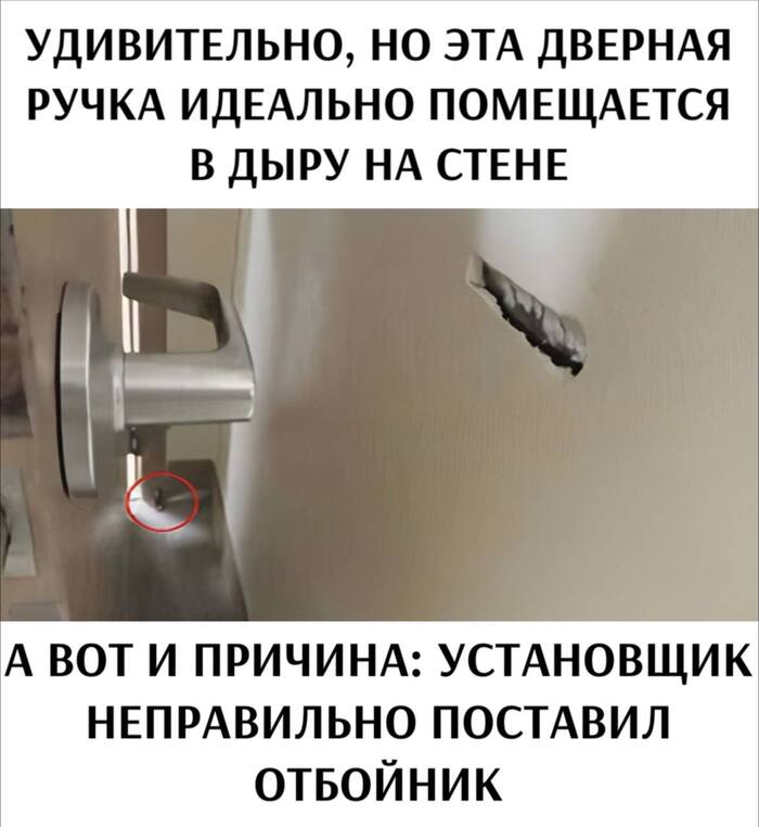    ... ,  , , , ,   , Telegram ()