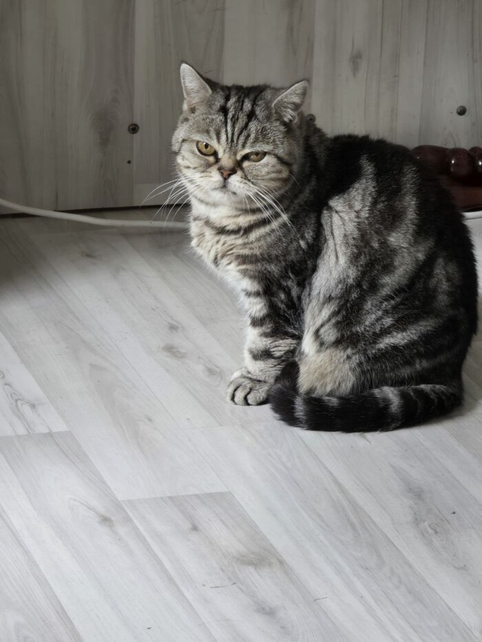 ��������� ����� ������� ���� �� ����: ������� �����, �� �� ����������.