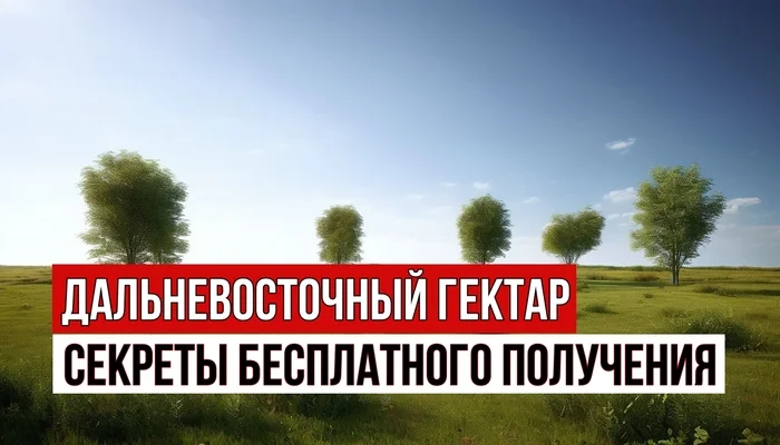 Как без строительства дома получить Дальневосточный гектар в собственность? Недвижимость, Земля, Дальневосточный гектар, Арктический Гектар, Земельный участок
