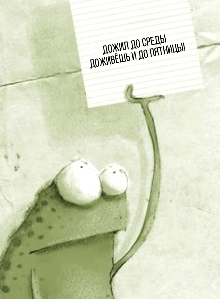 Врываемся в среду