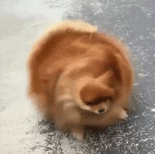   , , , 