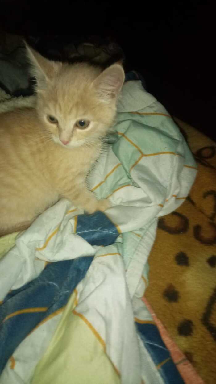 Тоже 2 месяца