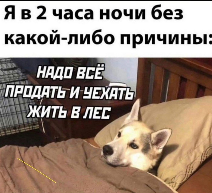 Даун + кнтрл + шифт