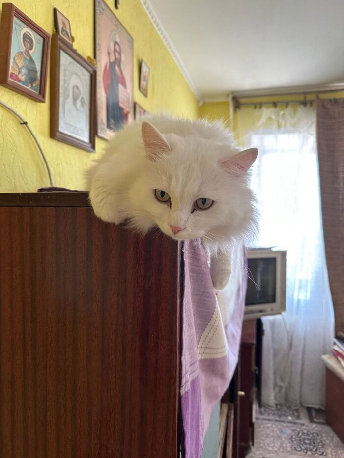      ,      , , , ,  , , 