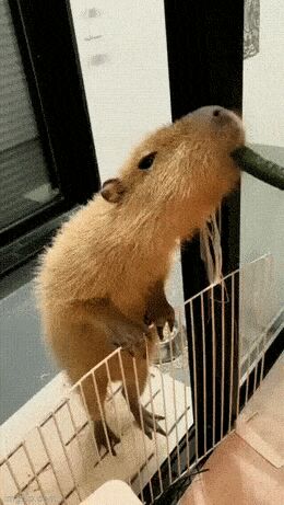    ,   , , , 