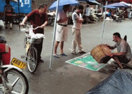     ,   , , , 