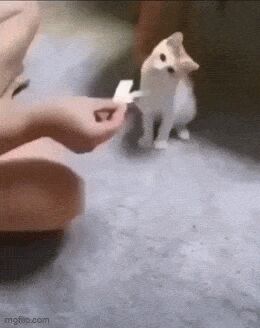   , , , 