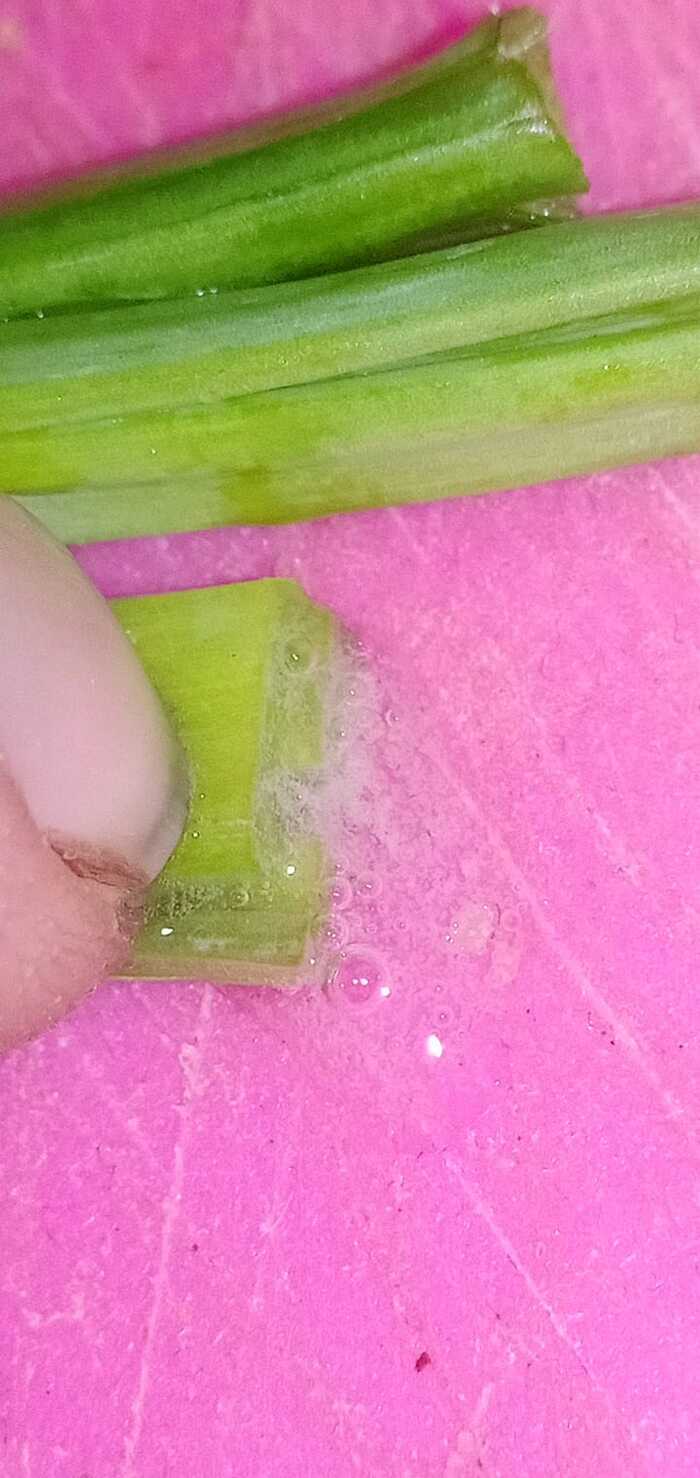     , , , , ,   , 