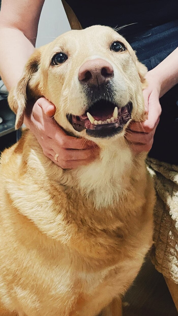 Как отличить свою тревогу от симптома у ребёнка