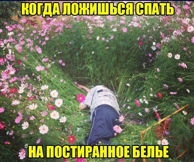 Свежесть