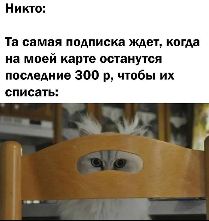 Жиза