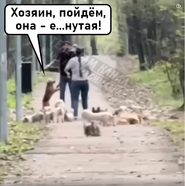      ,    , , , , , ,  ,  , ,   , ,   