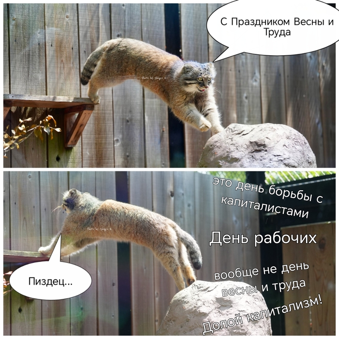    -  , , ,  , 1 , , ,   