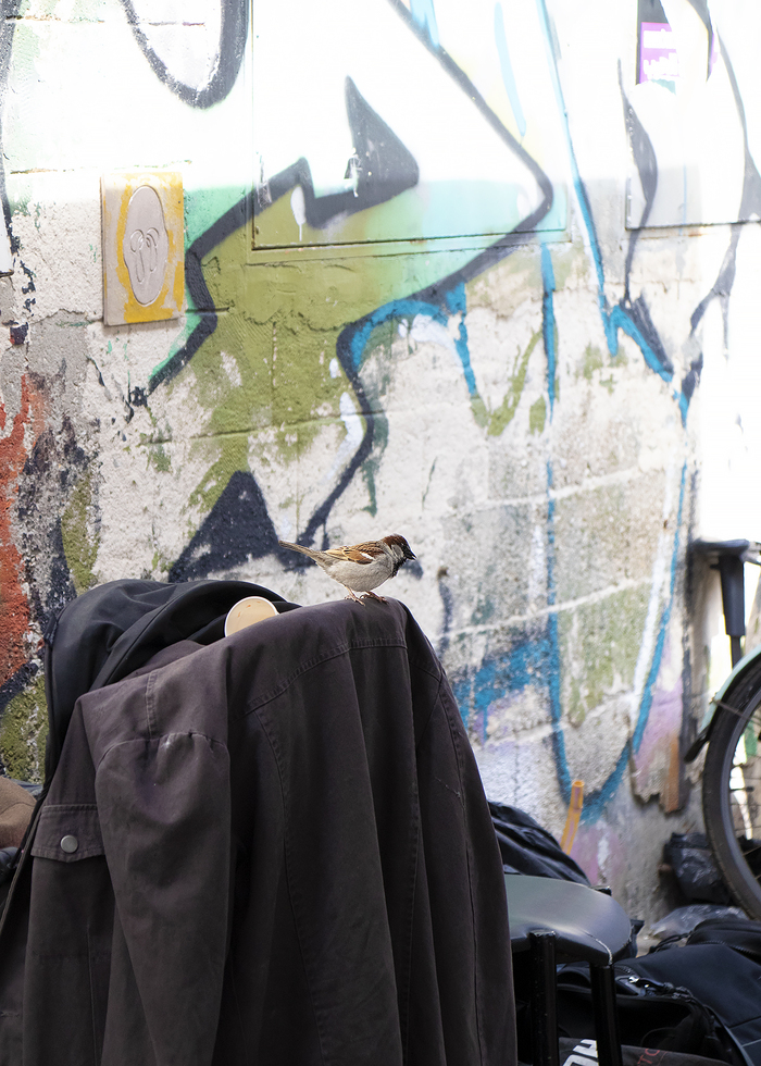 Прожжённые продаваны