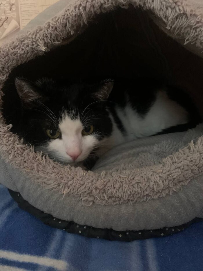 ���� ��������� � �����-�������, � �������-�� ��� ������ ���������