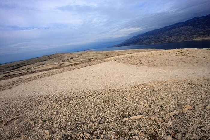 ������� �����������