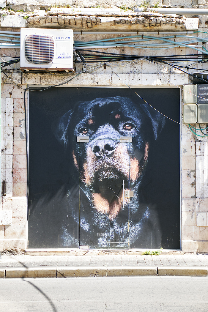 Живая и милая дверь