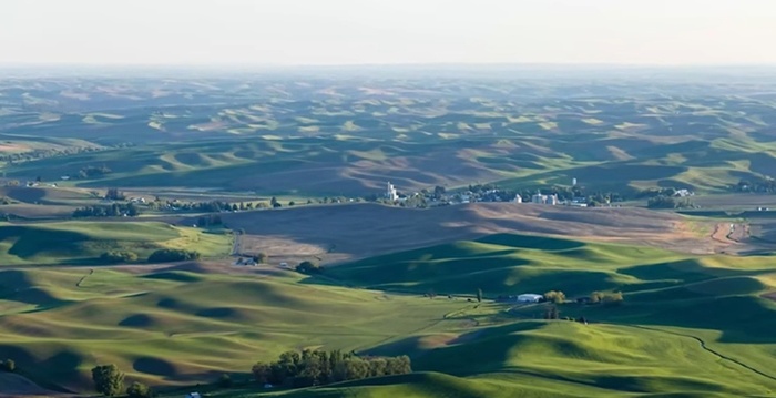 ������. ���� ������.