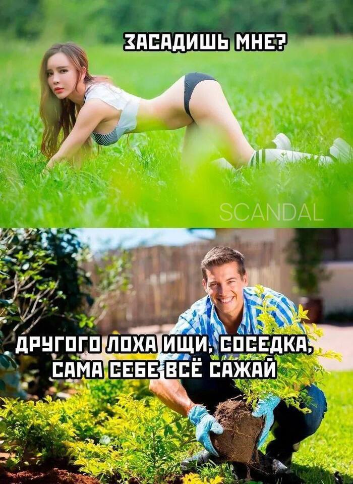 ) , ,   , , , 