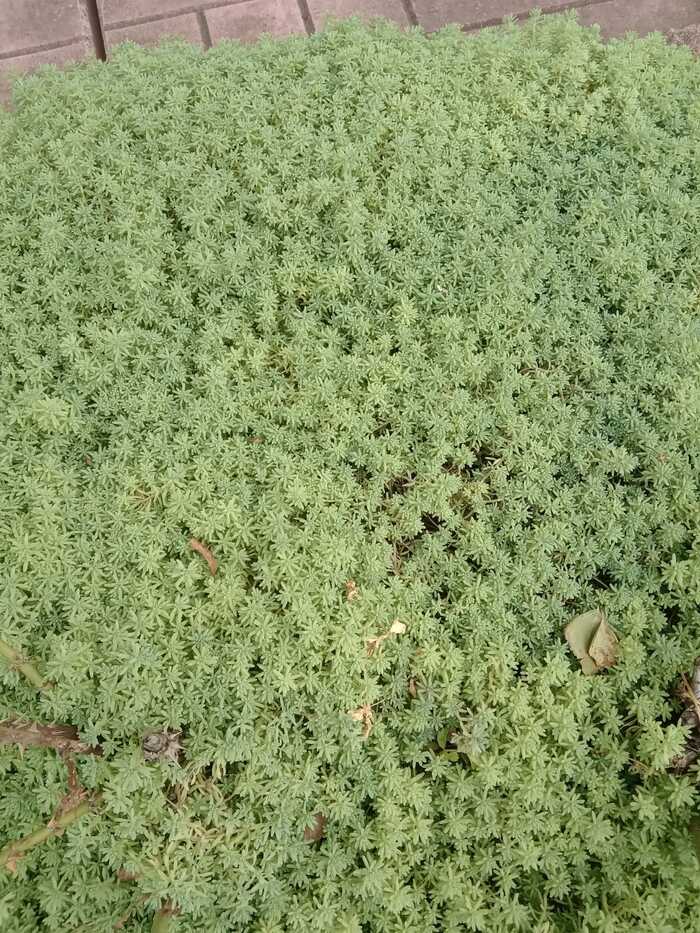 ,    , , ,   ,  
