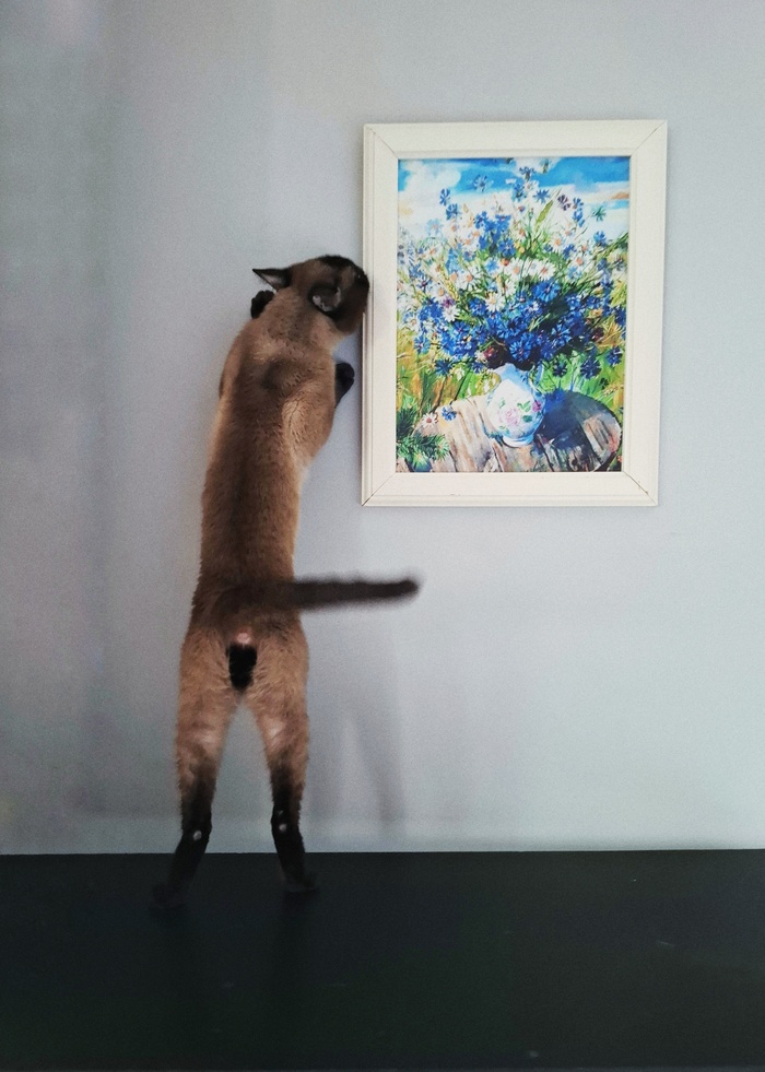  ,   ...  , , , , ,  