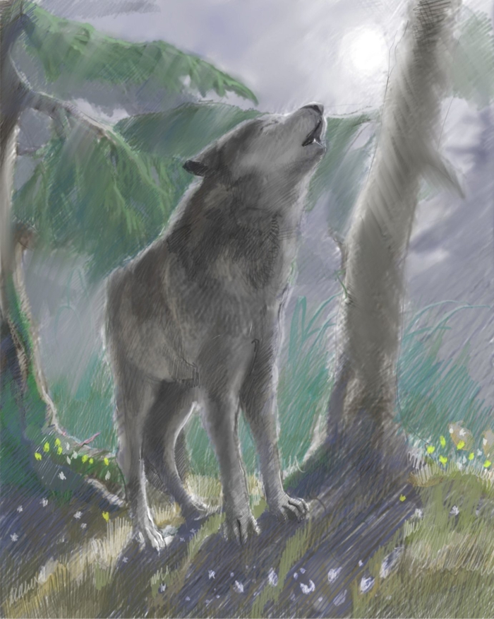 "������ ����"