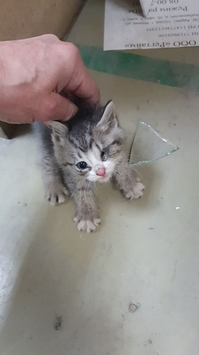      , ,  ,  , , ,  , ,  ,  ,  , , ,   