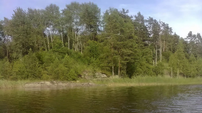 Остров в Карелии на Ладоге. Цена 28 млн. руб