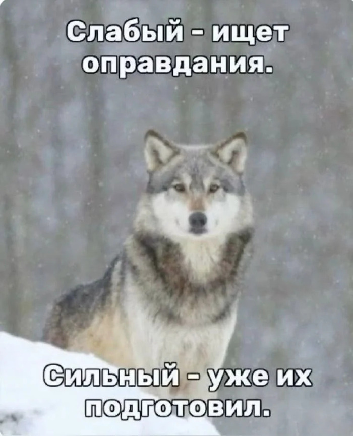     ,   , , 