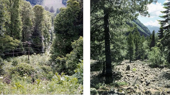 Штат Джорджия и Грузия очень похожи природой. Угадаете, где чья территория?