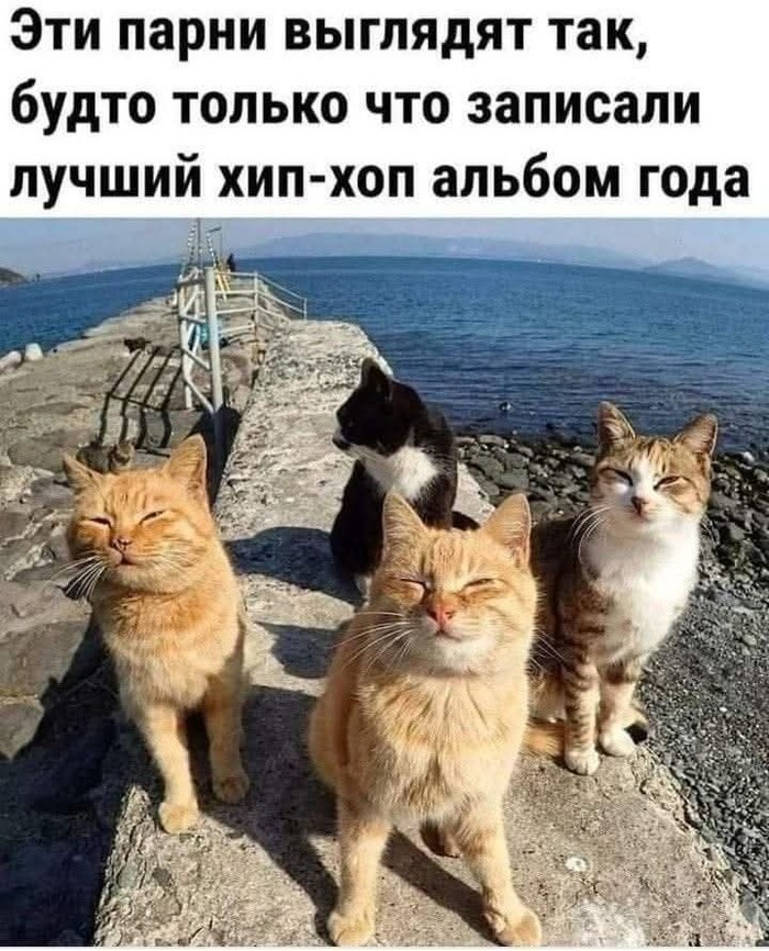    , , , , , 