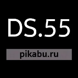 DS.55