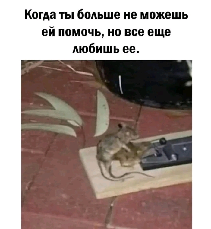 Такая любовь