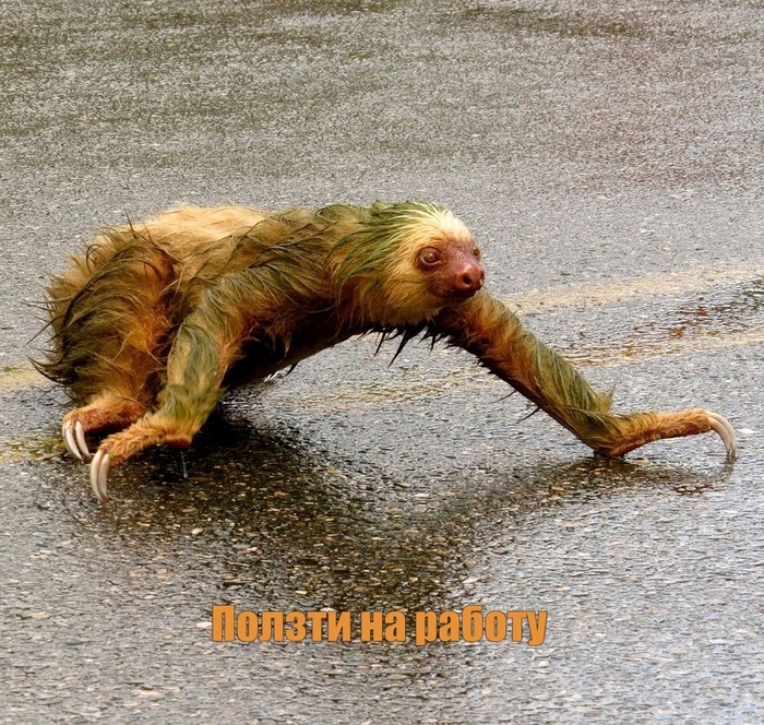 А ведь скоро...