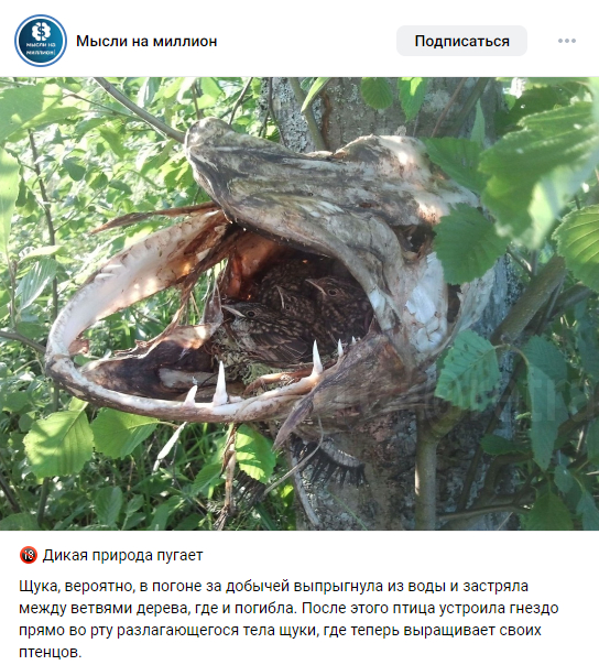   , , , , , , 