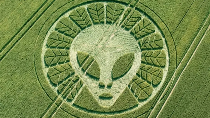 Ну чем не инопланетное послание?