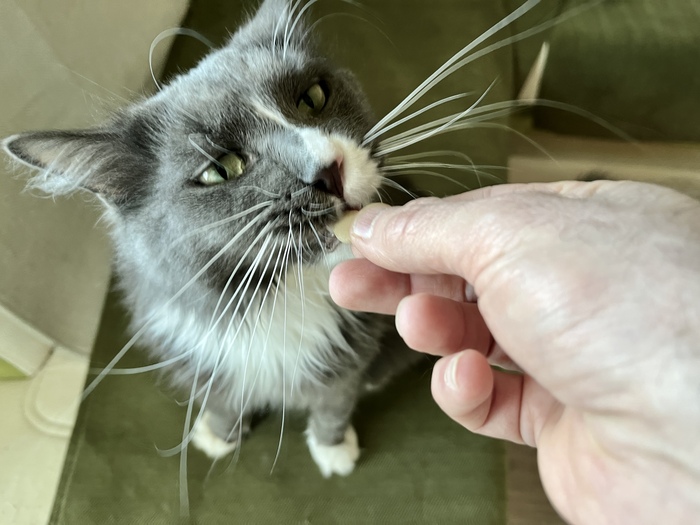 Грей получает витаминку