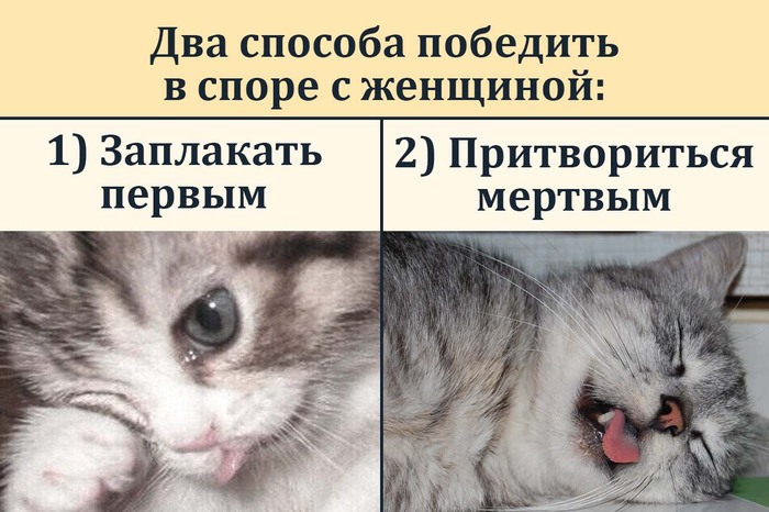       , ,   , , , Telegram ()