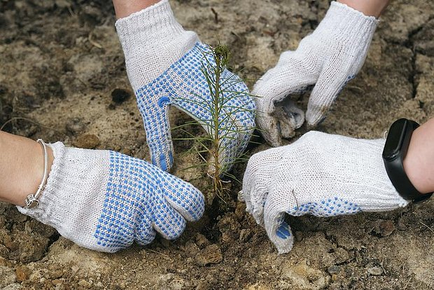 Фото: Алексей Смагин / Коммерсантъ