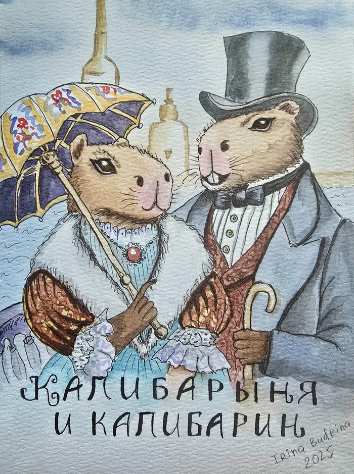     , , , , ,  , , , , ,  , 2D