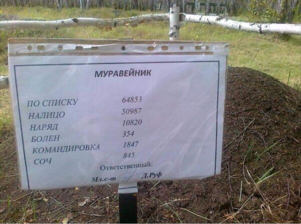 Муравейник живет)