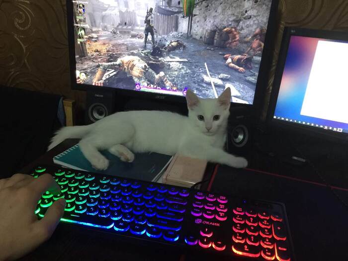  ,   ) , ,  , -