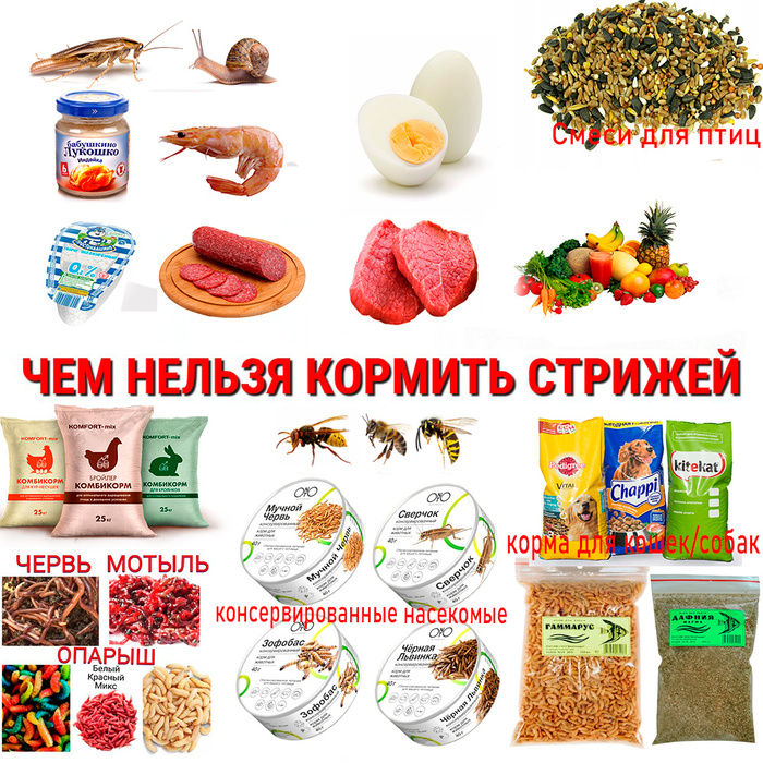 ������� �������, ��������� �����, ��������, ��, ������� � �������...