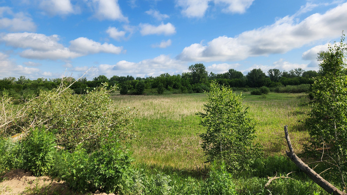 Биологический пруды. Почему они "пруды", меня не спрашивайте