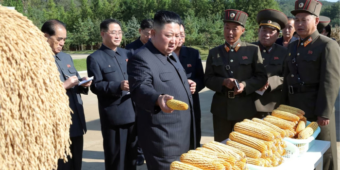 ��������� � ������������ ����