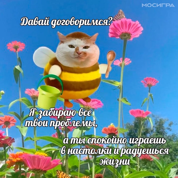 Договорились?